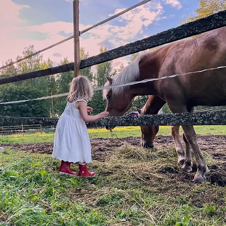Naaranlahti Punkaharju