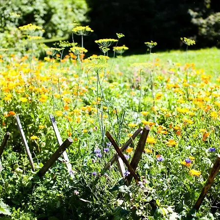 Naaranlahti 3* Punkaharju