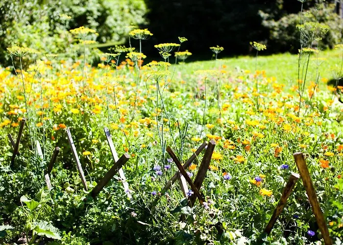 Naaranlahti 3* Punkaharju